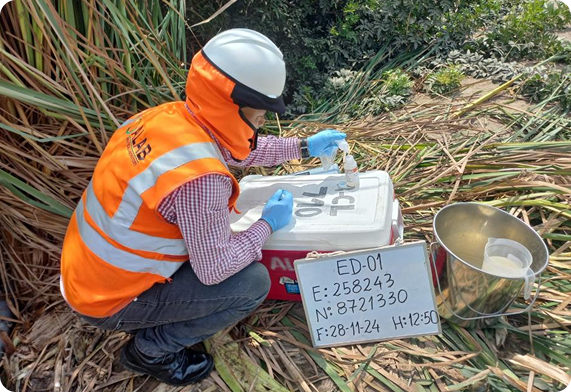 Servicios medioambientales